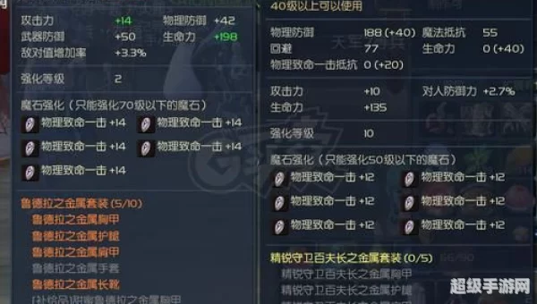 永恒之塔剑星双持