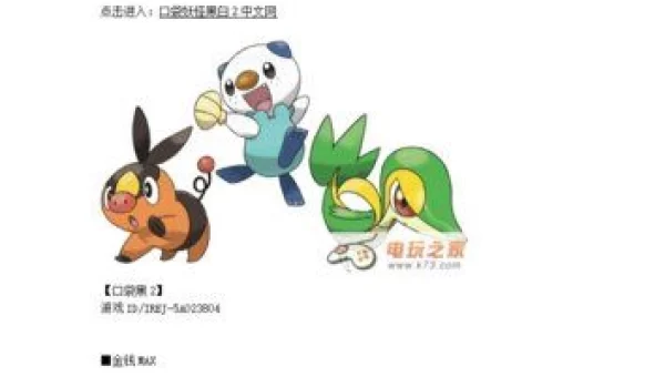 口袋妖怪黑白 金手指