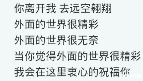 在很久很久以前你拥有我是什么歌