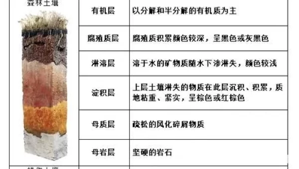 土壤分为哪三层