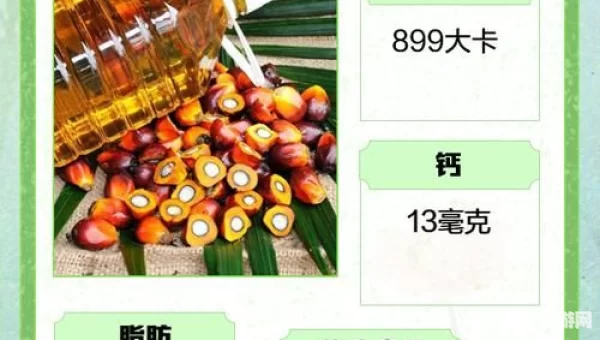 棕榈油产自