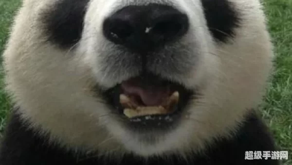 没有广告的小说网站