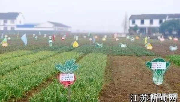 开新农场