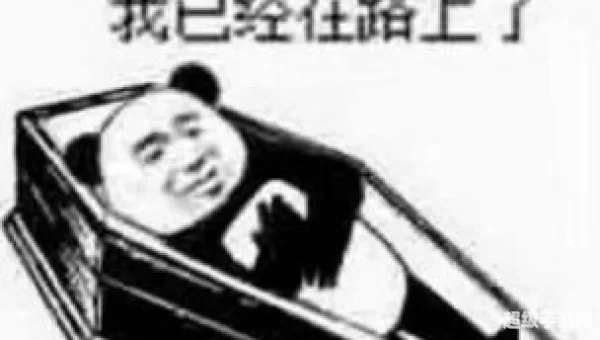 安排一下：探索AI写作助手在技术文章创作中的应用与优化